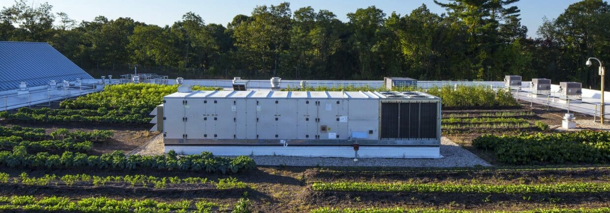 Generator in urban rooftop garden