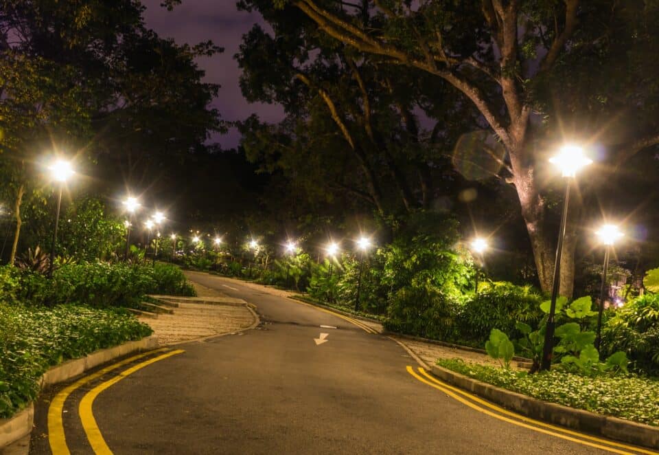 decorative night lighting the road